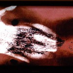 Under my skin, installation on LCD, digitally animated sequence, dimensions variable, 2004.