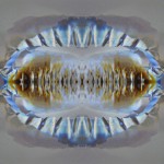 Tortua II, digitally generated image, 28" x 20", 2013.